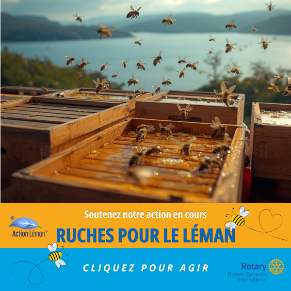 Ruches pour le Léman 2026