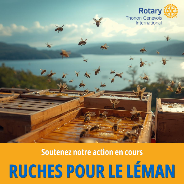 Ruches pour le Léman 2026